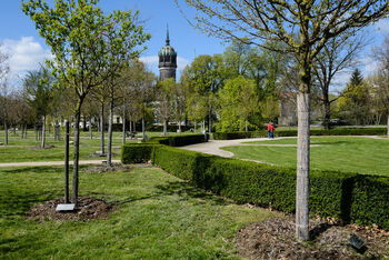 luthergarten_Wittenberg