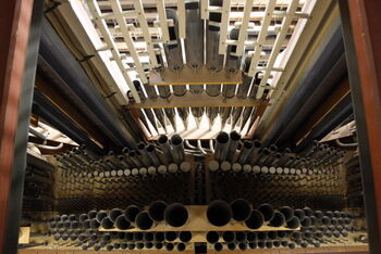 hauptpositiv_andreas_hildesheim