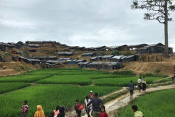 Rohingya