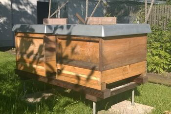 Bienen_Im_Bischofsgarten