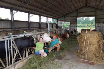 Hofgottesdienst zur Fußballweltmeisterschaft