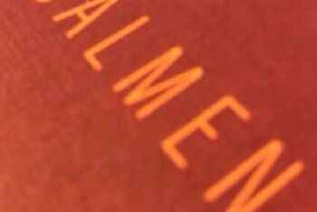 20. Aschermittwoch der K&uuml;nste