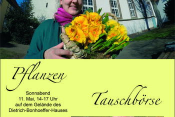 Pflanzentauschboerse_St Martini Bovenden_Bild Christa Schlichting