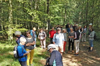 Pilgertour_auf NP Eichholz-Franzhorn (c) Thomas Steinke_