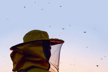 Eliport_Buchpreis 2020_Cover Winterbienen_Norbert Scheuer