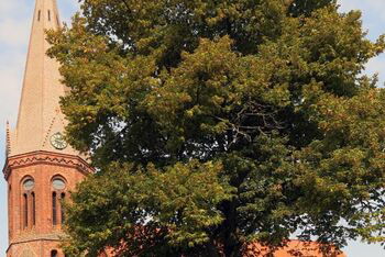 Kirche Estorf_Aussenansicht_Almut Henze Iber