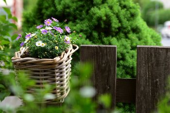 Symbolfoto_Nachbarschaft_Gartenzaun
