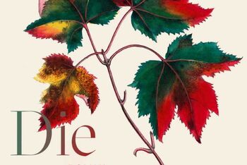 Iris Wolff_Buchpreis 2021_Die Unschärfe der Welt_Cover