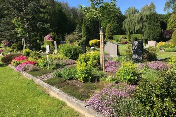 Friedhof Bad Rothenfelde
