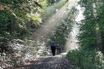 Pilgerweg_Loccum-Volkenroda