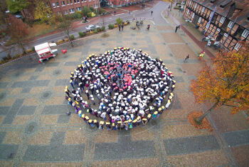 Lutherrose_Winsen_2_Foto_SvenKoch