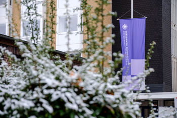 Das Bild zeigt eine schneebedeckte Hecke und im Hintergrund die Fahne der Landessynode.