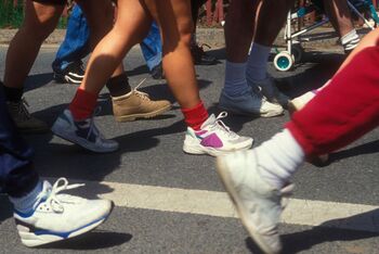 Nahaufnahme mehrerer Beinpaare, die eine Straße entlanglaufen.