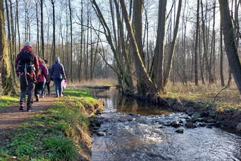 Menschen gehen an einem Bach entlang durch einen Wald.
