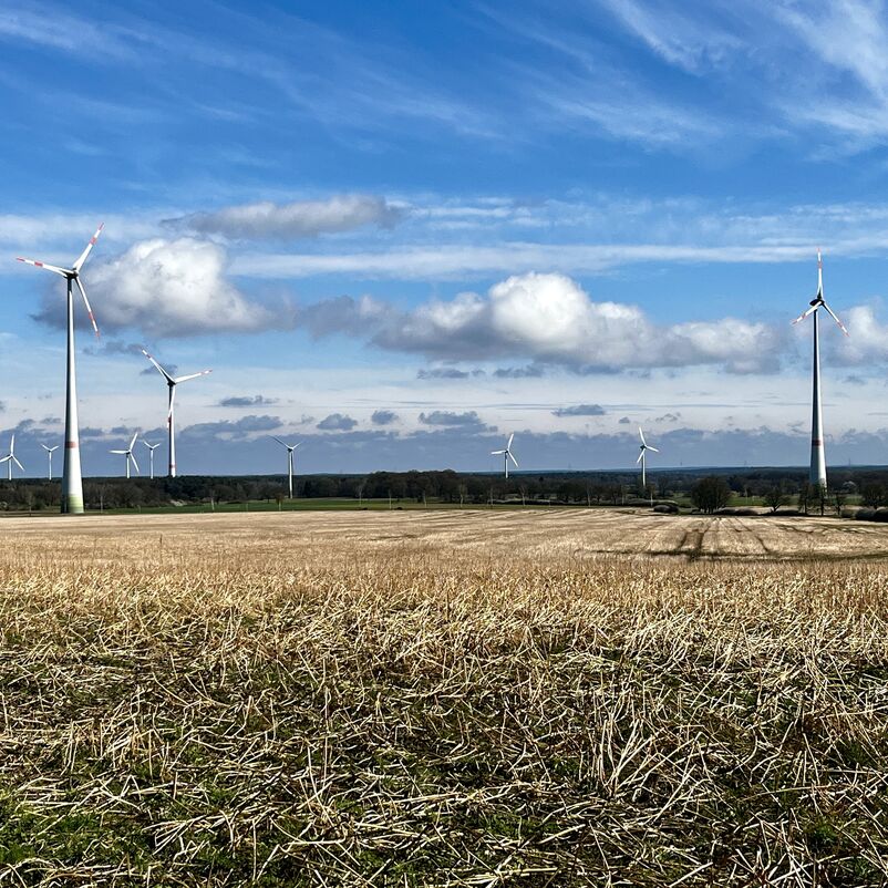 Mehrere Windräder stehen auf Ackerfläche, dahinter blauer Himmel. 