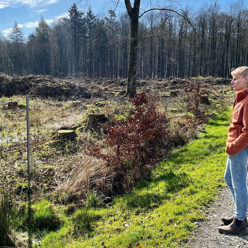 Eine männlich gelesene und eine weiblich gelesene Person stehen auf einem Waldweg und blicken auf eine Freifläche zur Aufforstung.