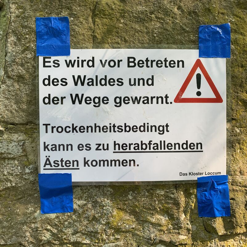 Ein Schild an einem Baumstamm trägt folgenden Text: Es wird vor Betreten des Waldes und der Wege gewarnt. Trockenheitsbedingt kann es zu herabfallenden Ästen kommen.