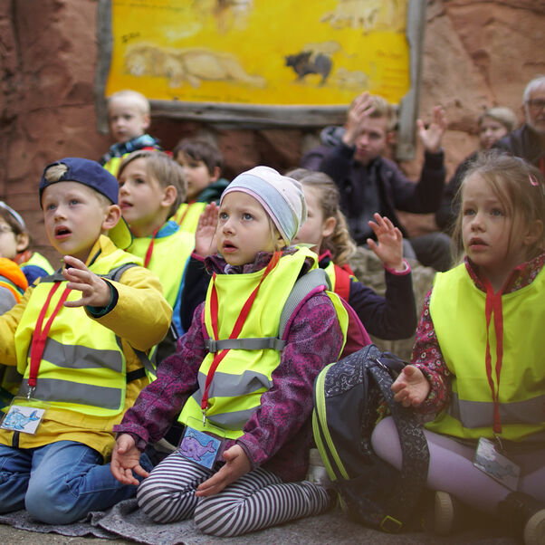So viele Geschichten an einem Tag - aber für die Vorschulkinder aus Bemerode wurde es scheinbar nie langweilig bei "Nester, Höhlen und Ställe". Foto: Alexander Nortrup