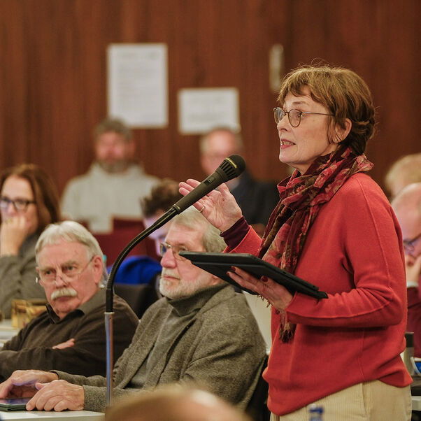 Eine weiblich lesbare Person steht an einem Mikrofon vor einem Plenum