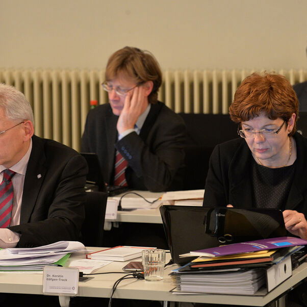 gaefken_track_mainusch