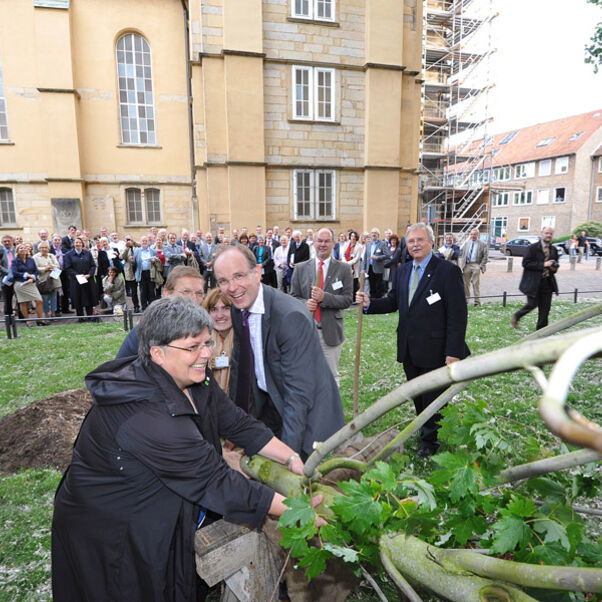 3_lutherbaum_aufrichten