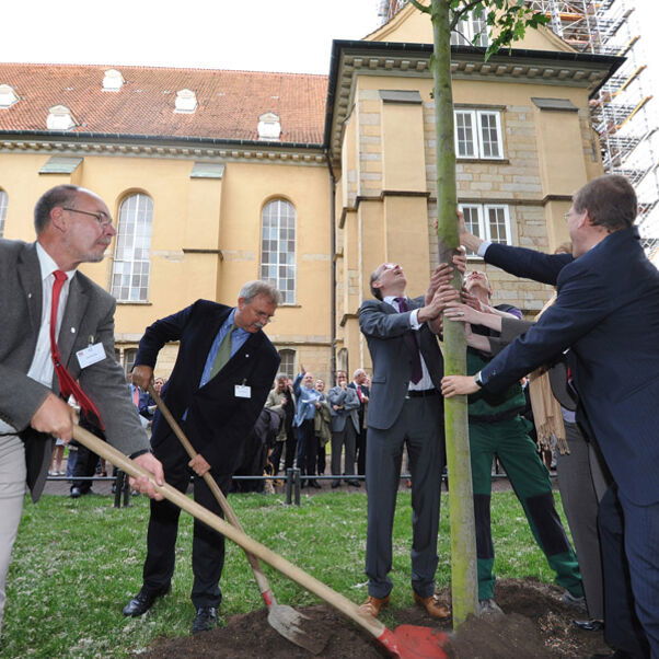 4_lutherbaum_stellen