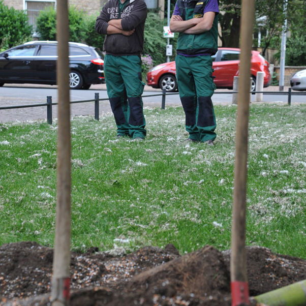 7_lutherbaum_gaertner