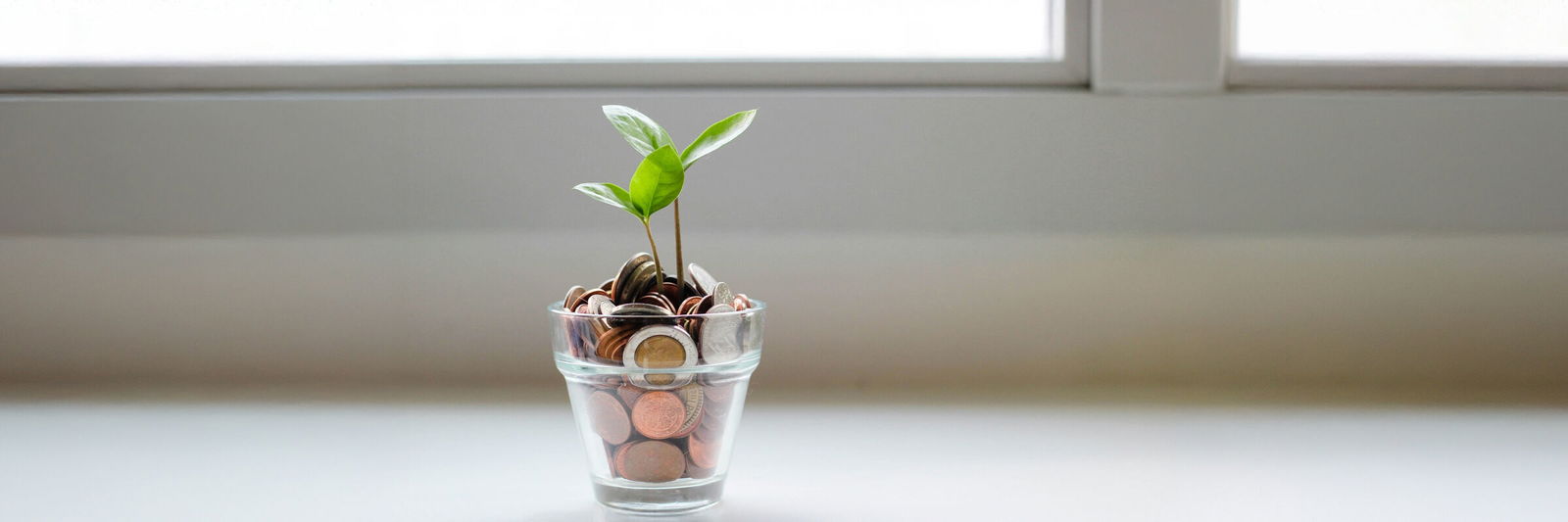 micheile-henderson-SoT4-mZhyhE-unsplash