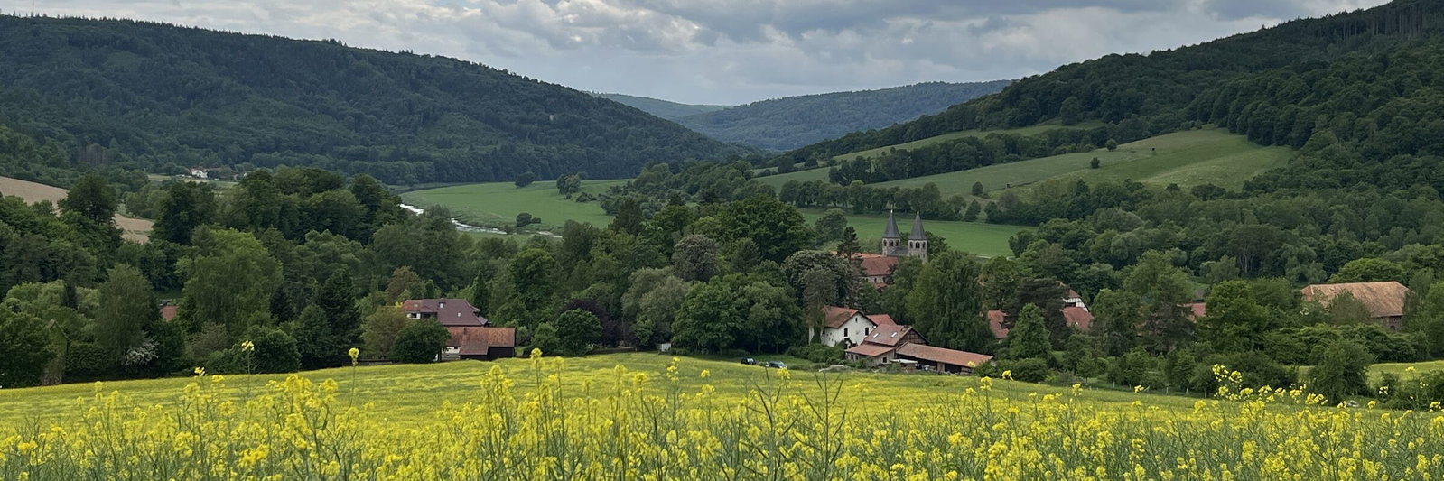 Theologie der biodiversität_Klaas Grensemann