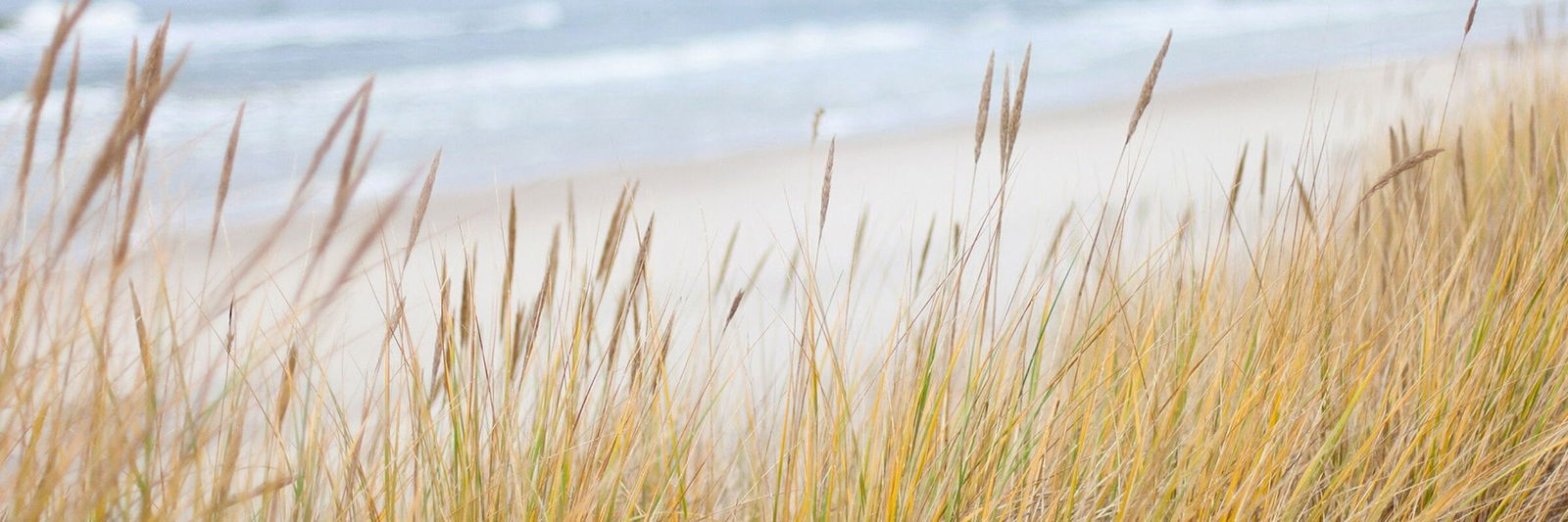 Wortmeldung Dezember Kopfgrafik