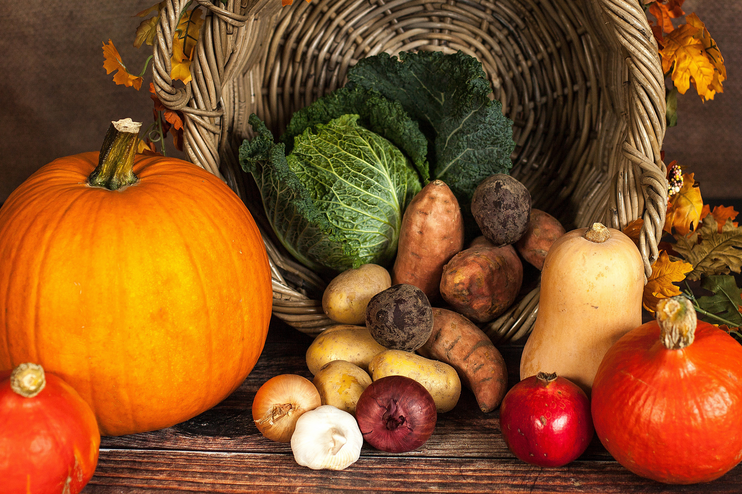 Das Erntedankfest ist ein gutes Datum, um einmal im Jahr innezuhalten und Gott zu danken.