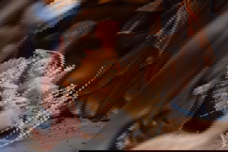 Gott wird Mensch – in einem Kind. Ein Kind in Windeln gewickelt.