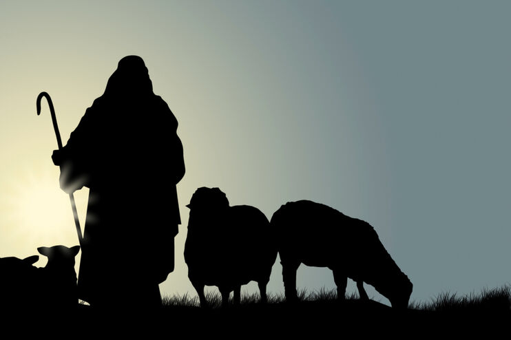 Eine Silhouette eines Schäfers mit Schafen.