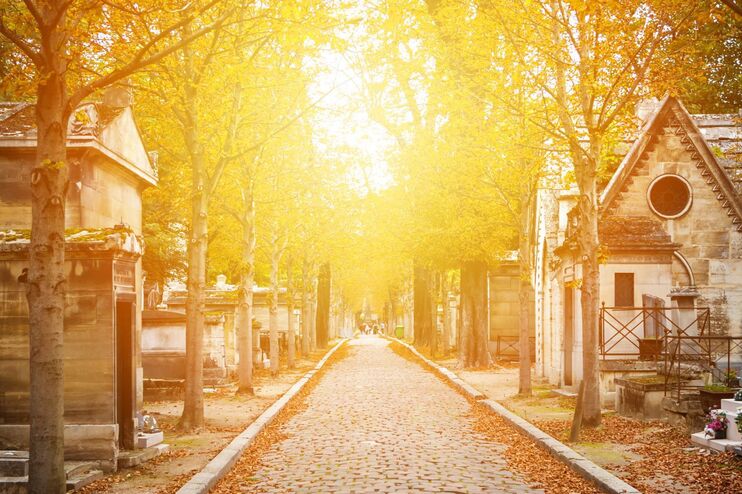 ein Friedhofsweg im Herbstlicht. Die Sonne scheint auf den Weg, rechts und links sind Gräber und Bäume