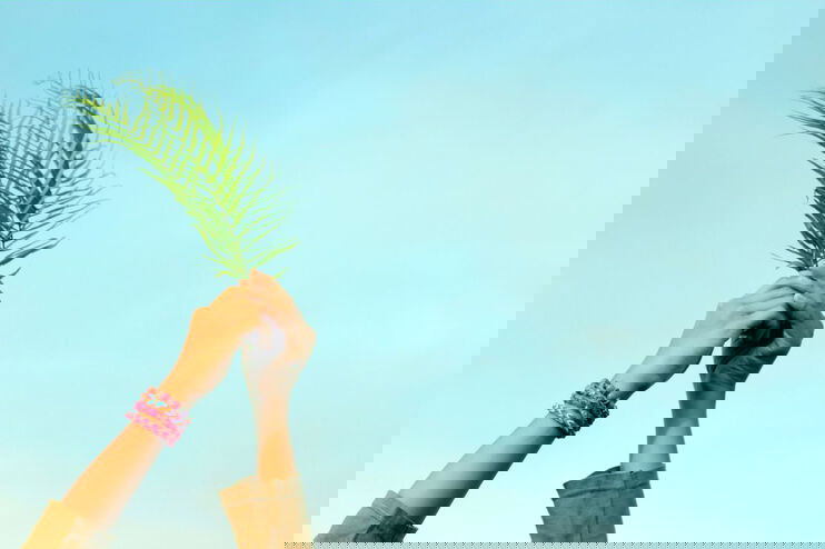 Zwei Hände halten einen Palmzweig in die Höhe