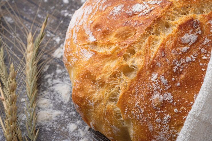 ein Brotlaib und Weizenkoerner auf einer Tischplatte