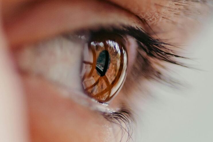 Nahaufnahme eines braunen Auges.