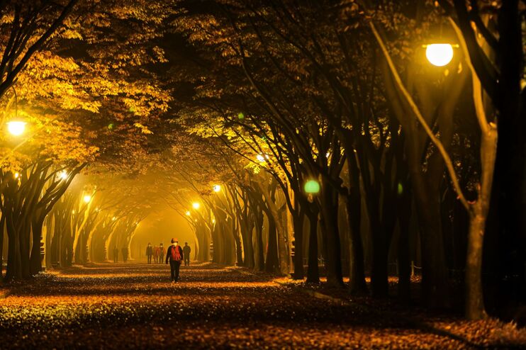 Ein Weg in einem dunklen Park. 