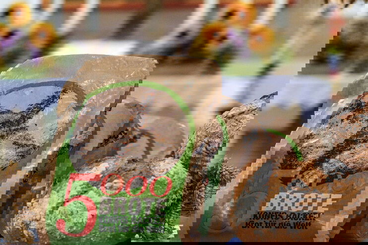 Man sieht frisch gebackene Brote. Sie liegen vor einem Altar in der Kirche. Die Kirche ist für das Erntedankfest geschmücke. In der Mitte der Brote stehen Brottüten mit dem Aufdruck: 5000 Brote - Konfis backen für Brot für die Welt.