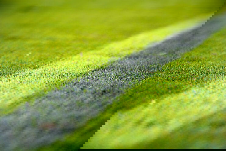 Ausschnittsvergrößerung eines Fußballplatzes mit einer weißen Linie.