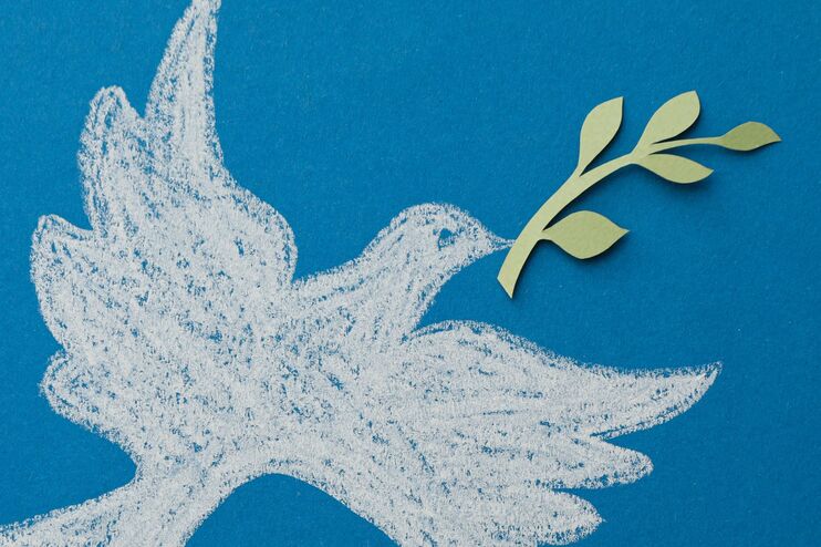 Eine weiße Taube auf blauem Grund mit einem Zweig im Schnabel