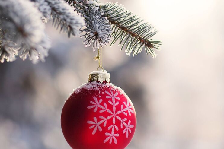 eine rote weihnachtskugel an einem schneebedeckten tannenzweig