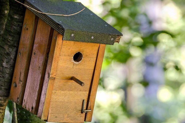 Ein Nistkasten in einem Baum