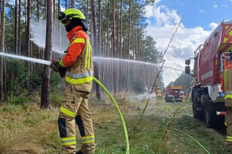 Feuerwehrmänner im Wald.
