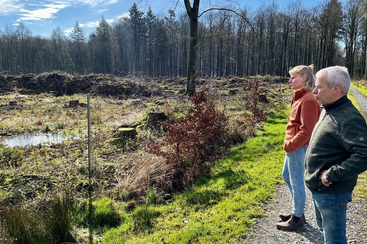 Eine männlich gelesene und eine weiblich gelesene Person stehen auf einem Waldweg und blicken auf eine Freifläche zur Aufforstung.