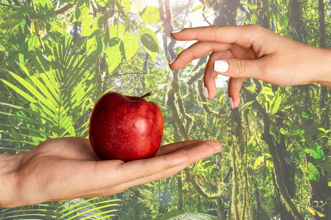 Eine Hand reicht einer anderen einen roten Apfel.