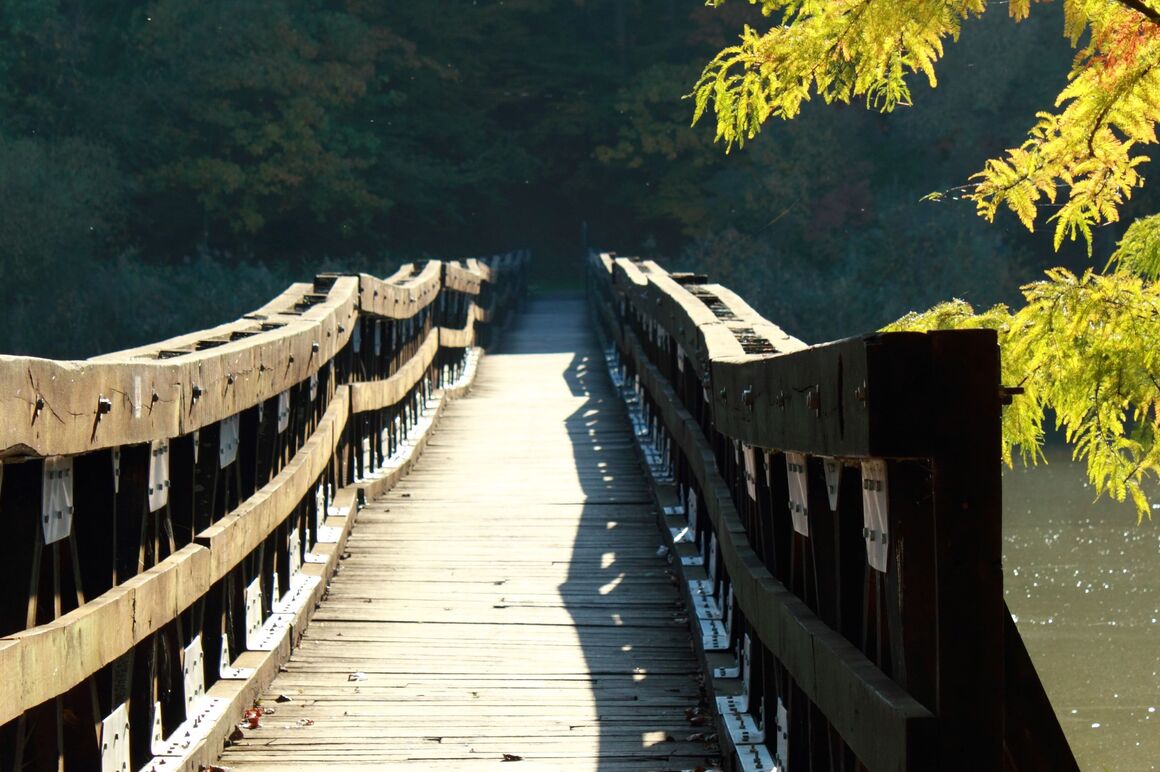 Brücke aus Holz